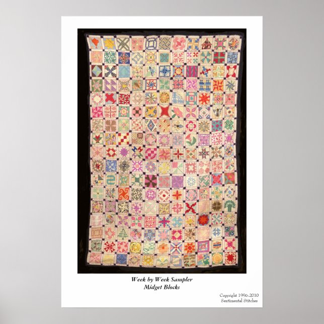 Week by Week Sampler Blocks Poster (Frente)