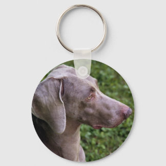 Weimaraner Chaveiro