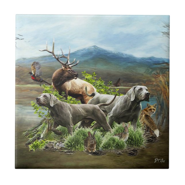 Weimaraner, "Cinza Fantasma" (Frente)