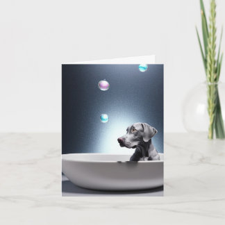 Weimaraner Com Cartão De Saudação De Bolhas