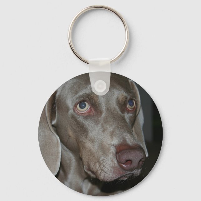 Weimaraner Dog Chaveiro (Frente)
