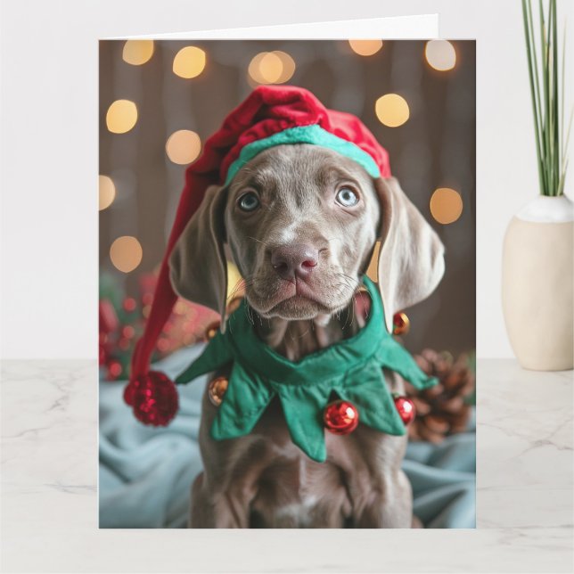 Weimaraner Elf Puppy Cartão de Natal (Frente)