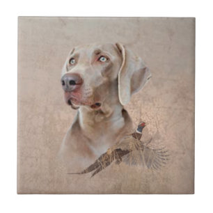 Weimaraner Poster Canvas Imprimir Tapeçaria Acrí