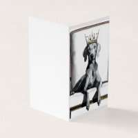 Weimaraner vestindo uma coroa sentada em uma cadei