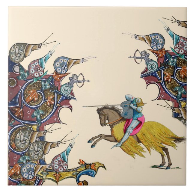 WEIRD MEDIEVAL BESTIARY Knight Combate Caracóis Gi (Frente)