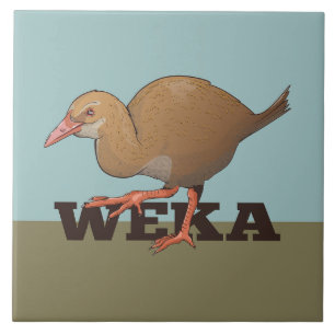 Weka New Zelândia Bird