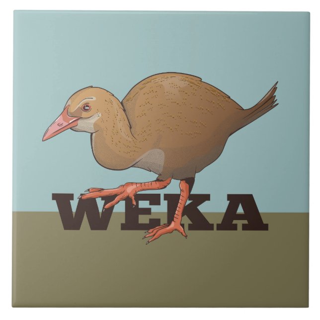 Weka New Zelândia Bird (Frente)