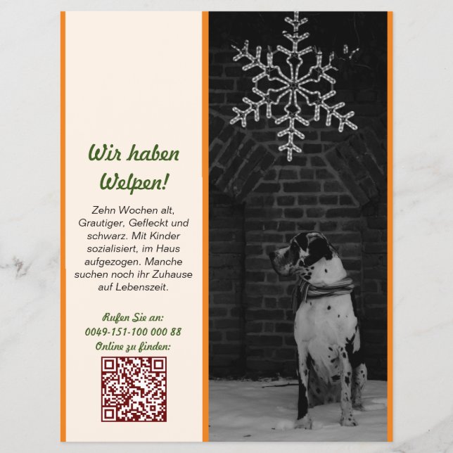 Welpe zum Verkauf Flyer Vorlagen (Frente)