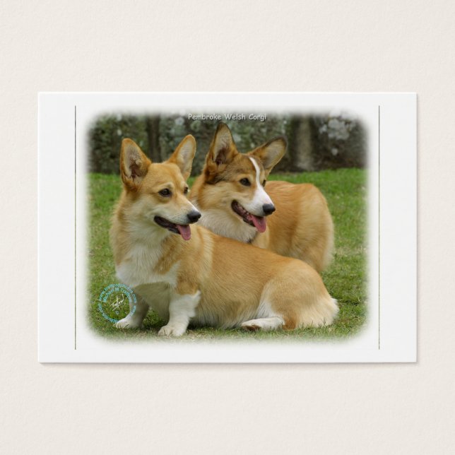 Welsh Corgi (Pembroke) (Frente)