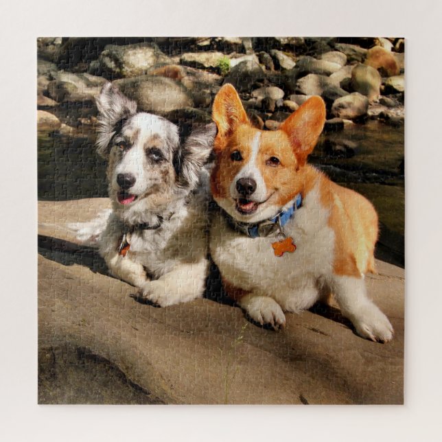 Welsh Corgis Quebra-cabeça (Vertical)