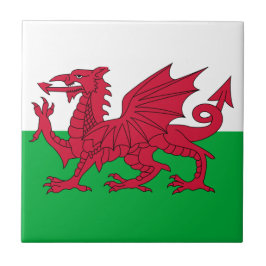 Welsh Flag (País de Gales) (Welsh Dragon)