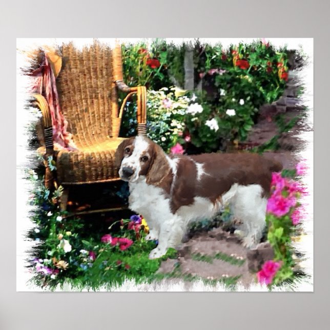 Welsh Springer Spaniel Art Impressão (Frente)