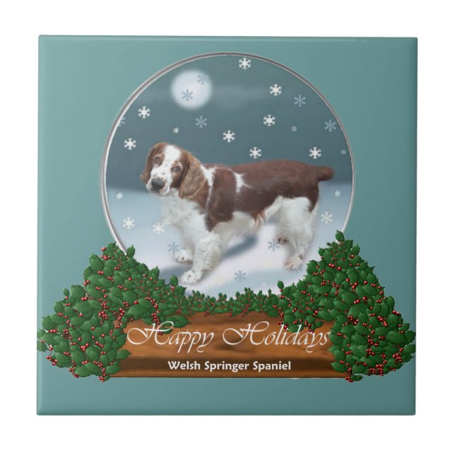 Welsh Springer Spaniel Natal (Frente)