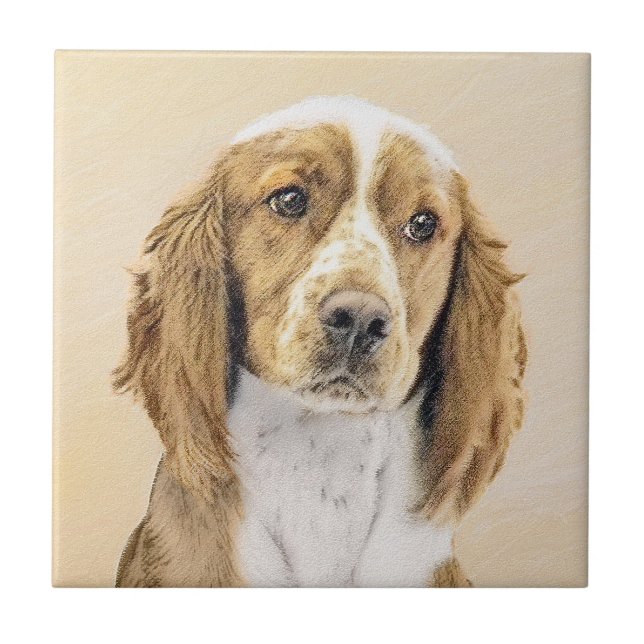 Welsh Springer Spaniel Painting - Arte Original De (Frente)
