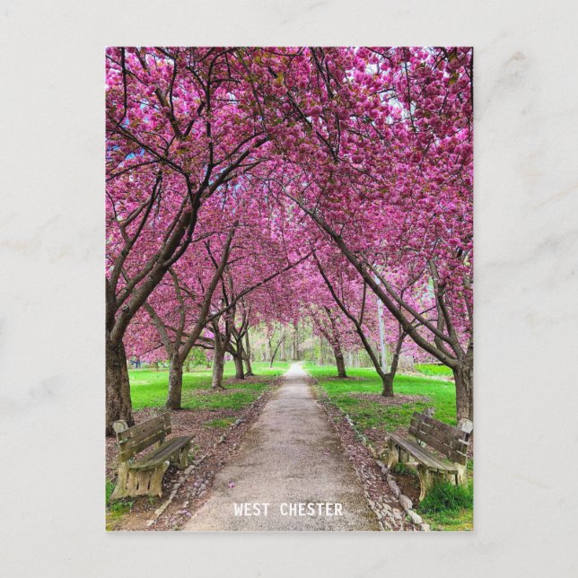 West Chester Everhart Park - Cartão de Posto (Frente)