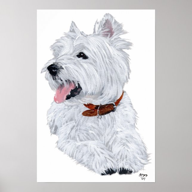 West Highland White Terrier Chef Poster (Frente)