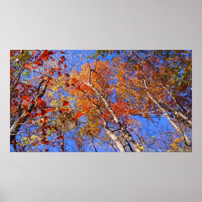 West Mt. Autumn Hot Primavera National Park Poster (Frente)