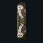 Western Barn Owl Skateboard<br><div class="desc">Western Barn Owl - Migned Watercolor Painting Art Beautiful Forest Bird</div>
