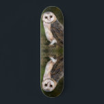 Western Barn Owl Skateboard<br><div class="desc">Western Barn Owl - Migned Watercolor Painting Art Beautiful Forest Bird</div>