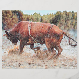 Western Rodeo Bull Country Cowboy Vintage Russo