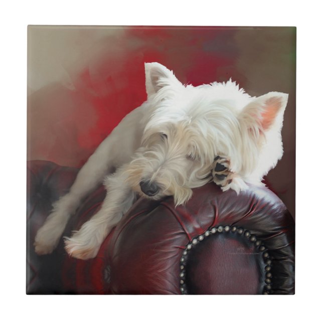 Westie descansando (Frente)