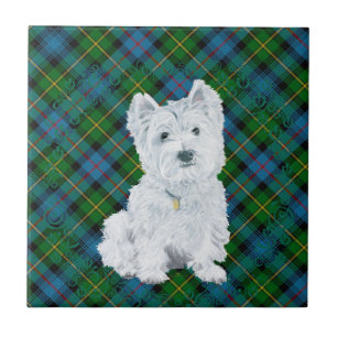 Westie em Tartan