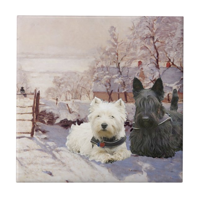 Westie & Scottie Winter Magpie (Frente)