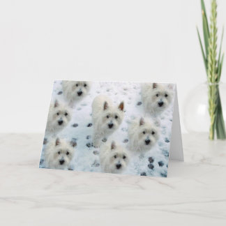 Westies na placa Cartões de natal de neve