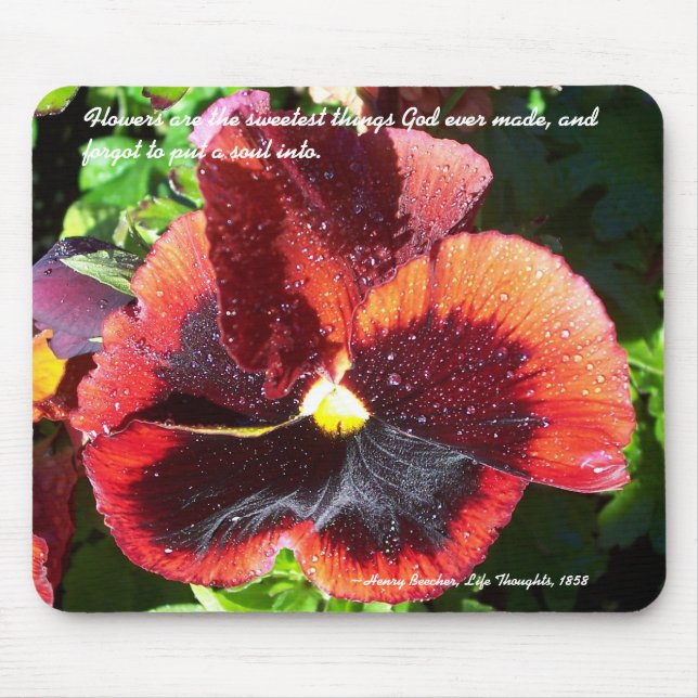 Wet Pansy com Henry Beecher, citando mousepad (Frente)