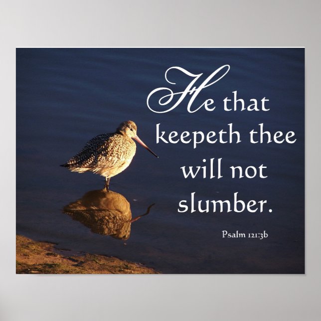 Wetlands Godwit Bird Deus Vai Te Manter Impressão (Frente)