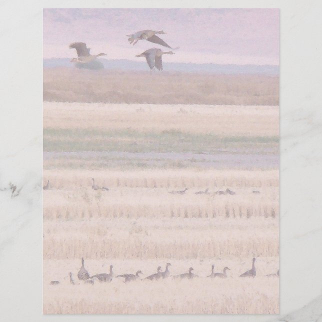 Wetlands Migration Letterhead (Frente)