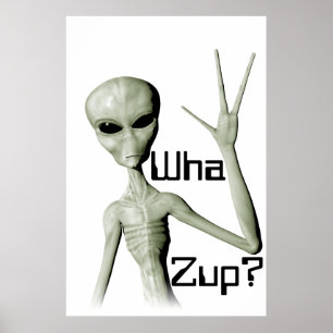 Wha Zup da alienígena? poster