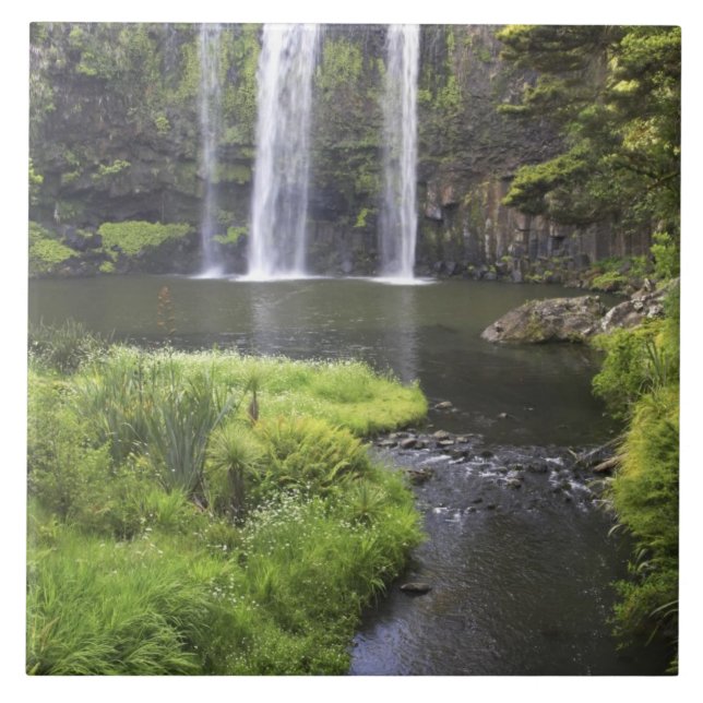 Whangarei Falls, Whangarei, Northland, Novo 2 (Frente)