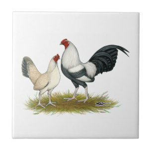 Wheaten de prata azul do jogo de OE