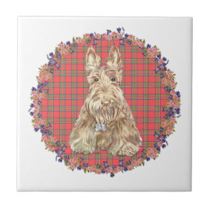 Wheaten Scottie Tartan