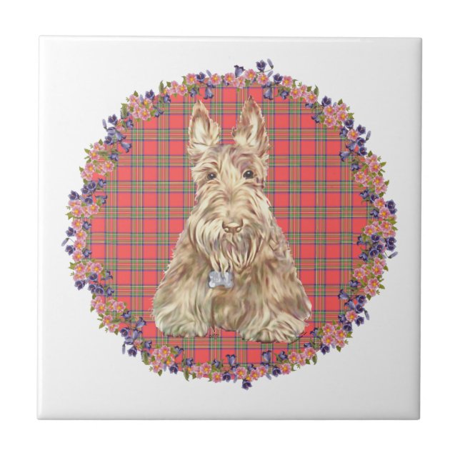 Wheaten Scottie Tartan (Frente)