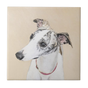 Whippet, inglês Whippet, pressão, branco, rajado