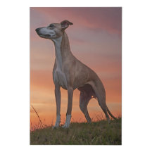 Whippet Sunset Hill Canvas Wall Art