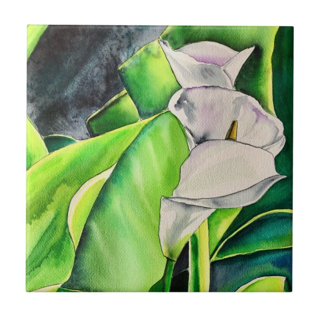 White Arum Lily Watercolor, floral tropical (Frente)
