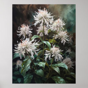 White Bee Balm Flowers Art Impressão