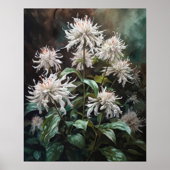 White Bee Balm Flowers Art Impressão (Frente)
