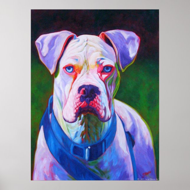 White Boxer Poster (Frente)