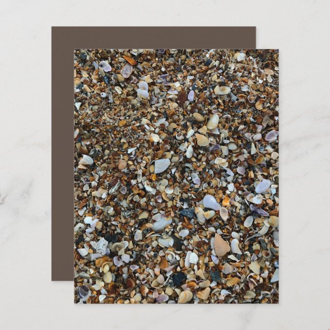 White Brown Coquina Sea Shell Beach ScrapbookPaper (Frente/Verso)