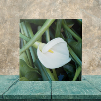 White Calla Lily e Floral Verde