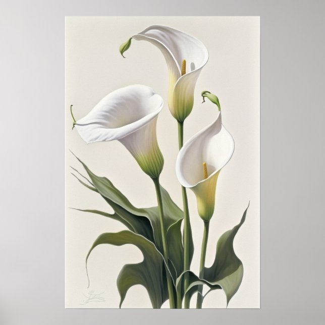 White Calla Lily Flower Art Impressão (Frente)
