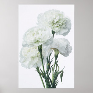 White Carnuns Flower Art Poster
