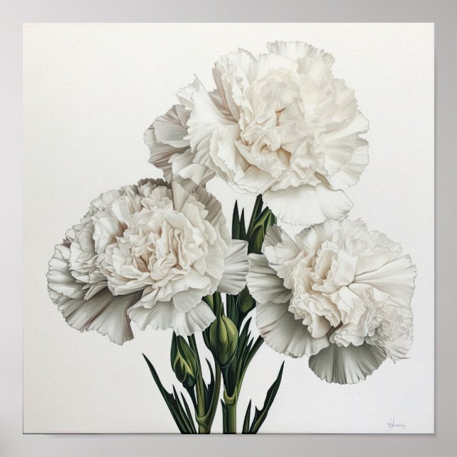 White Carnuns Flower Art Poster (Frente)