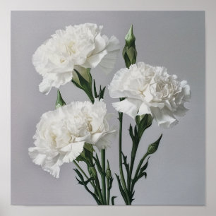 White Carnuns Flower Art Poster