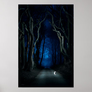 White Cat na Canopy Road na Night Poster Art Impre
