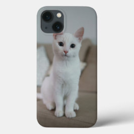 White cat | Zazzle_Growshop.